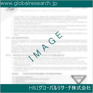 グローバルリサーチ調査資料のイメージ